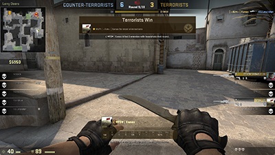 Counter-Strike: Global Offensive Graphics Quality 8600 GT